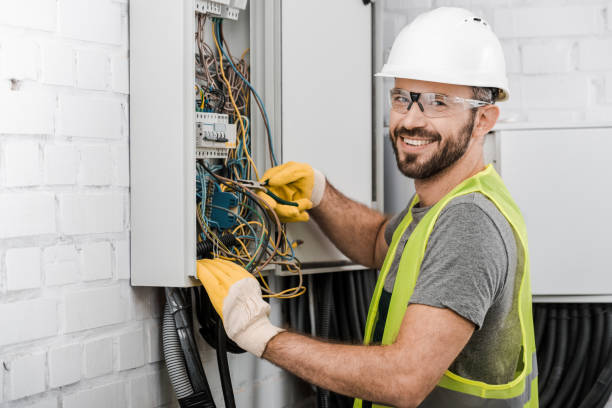 Best Electric Panel Repair  in Meadow Lake, NM